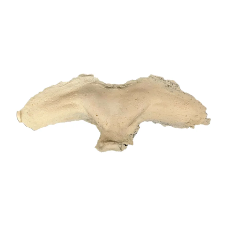 abracadabranyc3462