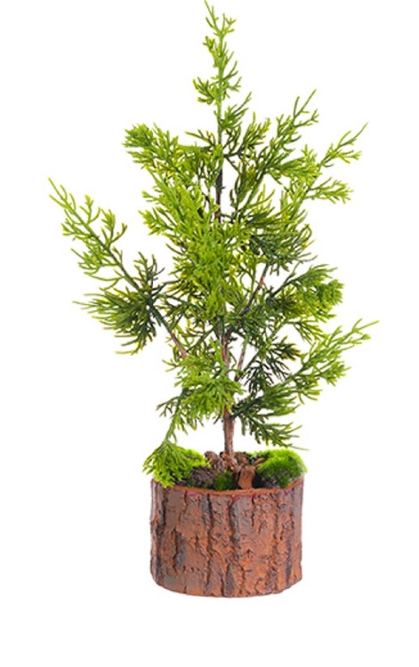 christmascentral3302885