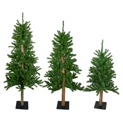 christmascentral3954891