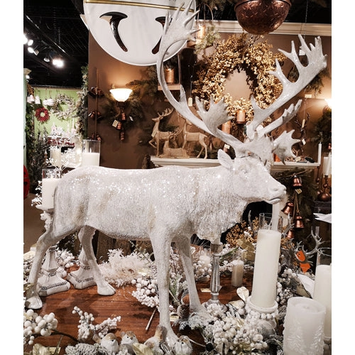 christmasinamerica115676