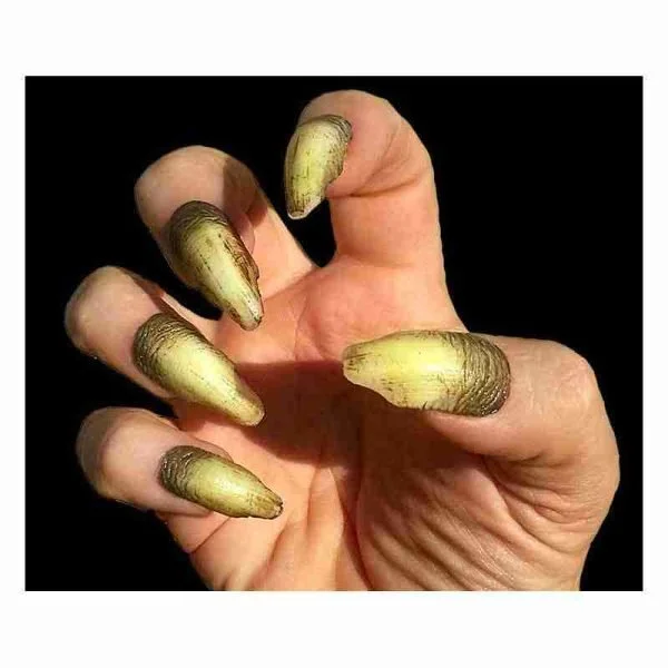 funnygoofycrap3062161