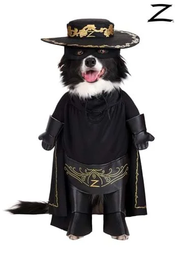 halloweencostumes248260