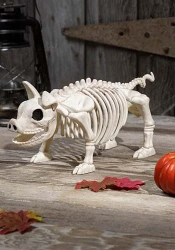 halloweencostumes3020019