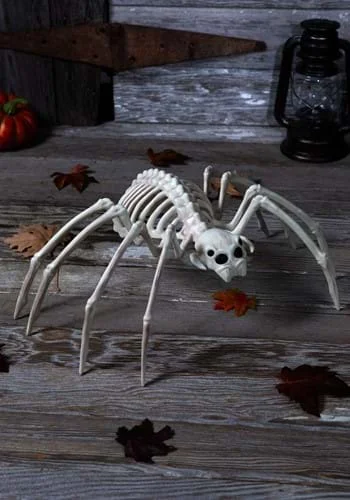 halloweencostumes3026238