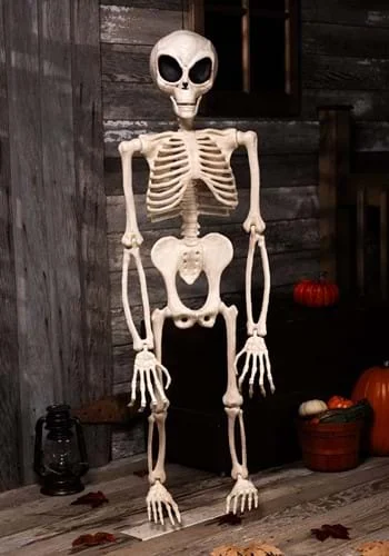 halloweencostumes3040181