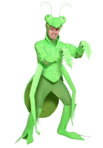 halloweencostumes3171319