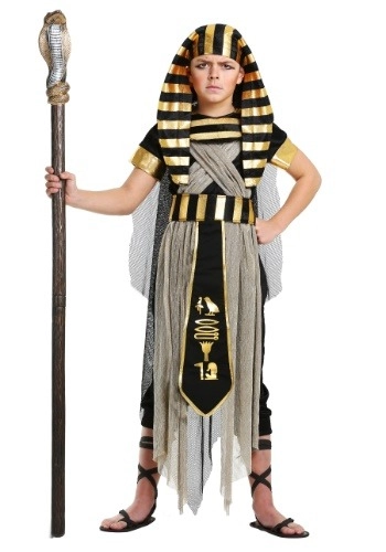 halloweencostumes3270076