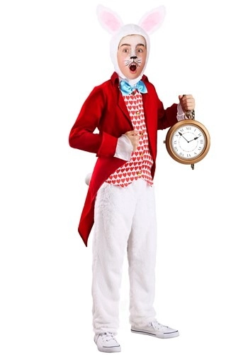 halloweencostumes3331702