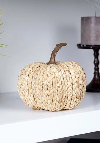 halloweencostumes3344146