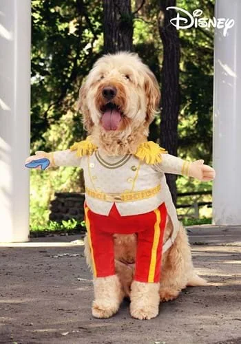 halloweencostumes3391508