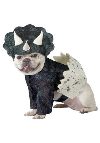 halloweencostumes3396593