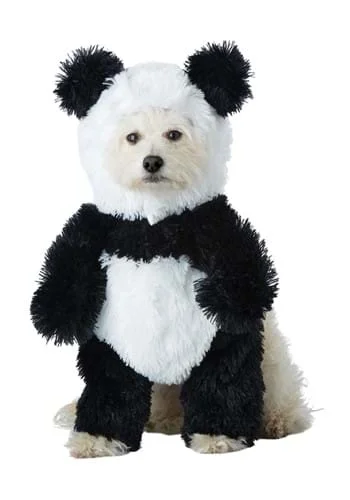 halloweencostumes3396853