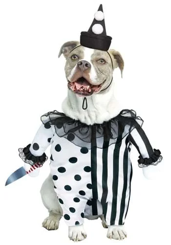 halloweencostumes3414517