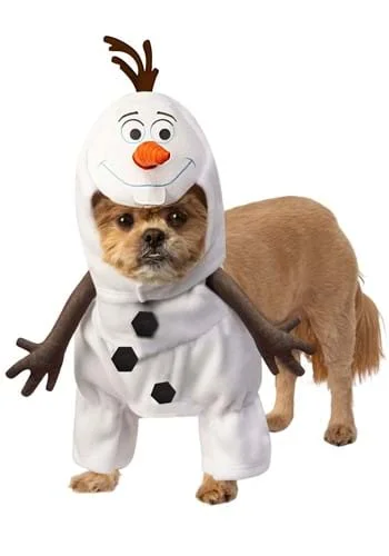 halloweencostumes3438334
