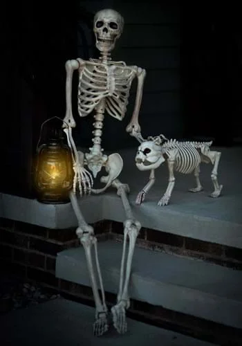 halloweencostumes3731791