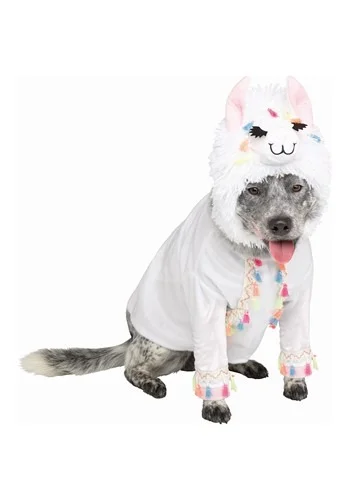 halloweencostumes3737013
