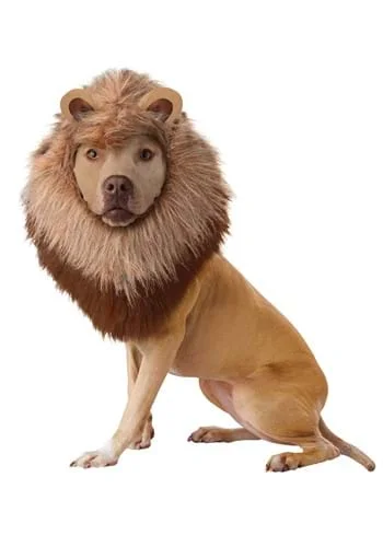 halloweencostumes3739671