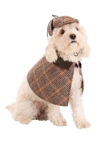 halloweencostumes3978969