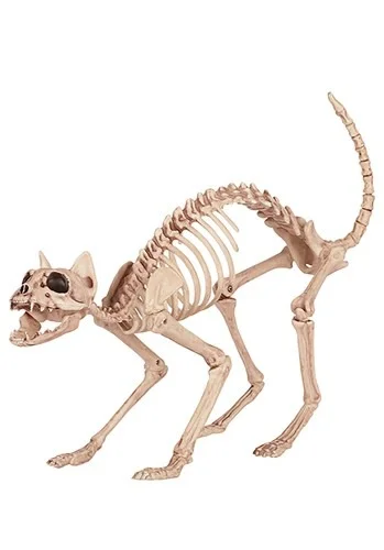 halloweencostumes3981968