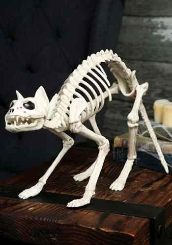 halloweencostumes3982012