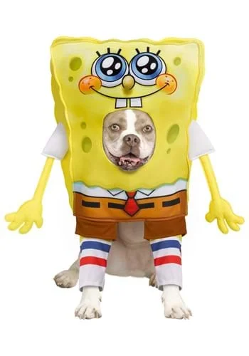 halloweencostumes3991148