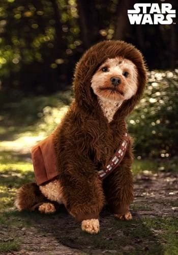 halloweencostumes3993635