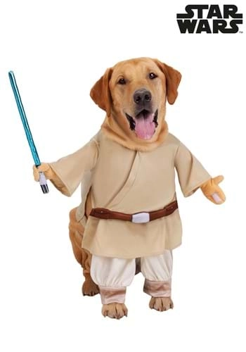 halloweencostumes3994454